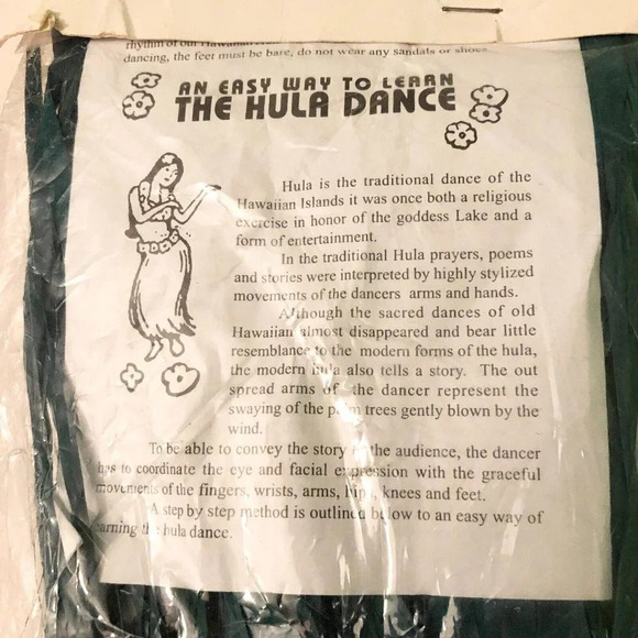 Hawaiin Hula Girl Costume With Raffia Skirt And Coconut Top Child Size Halloween - Picture 15 of 16